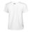 Rush Energy Shortsleeve 2.0