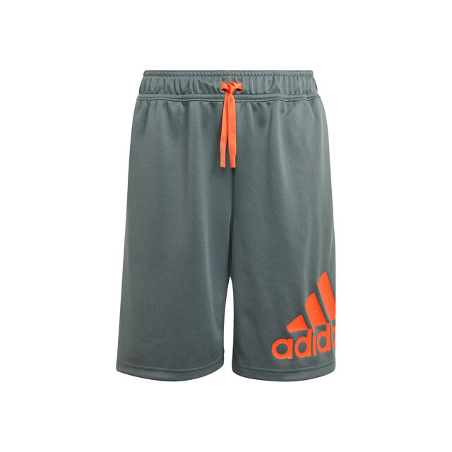 Big Logo Shorts