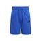 Essentials Shorts