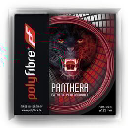 Panthera Saitenset 12m-Rot