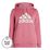 Big Logo FL Plus Hoody