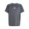 All Sports Favorite Tee