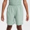Dri-Fit Shorts